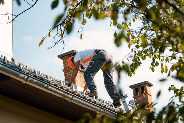 Quick and Trustworthy Emergency Roof Repair Services in Dahlonega, GA
