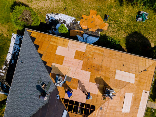 Best Roof Restoration Services  in Dahlone, GA