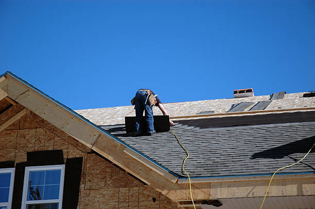 Best Roof Leak Repair  in Dahlone, GA