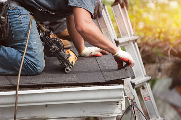 Best Sealant for Roof  in Dahlone, GA