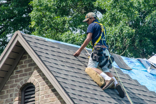 Best Shingle Roofing Installation  in Dahlone, GA