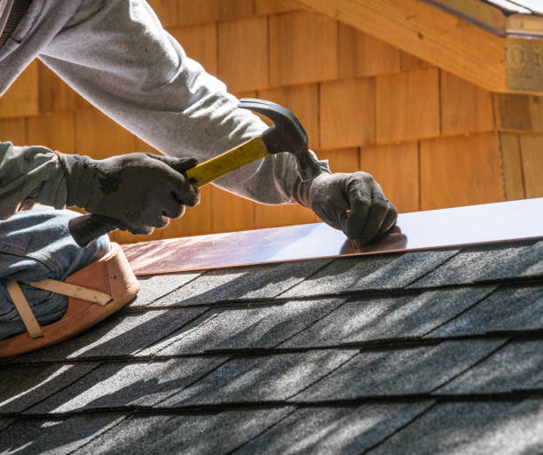 Best Flat Roof Repair Services  in Dahlone, GA